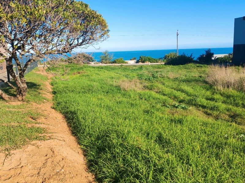 An amazing opportunity for professionals in popular Pienaarstrand. - Photo 3