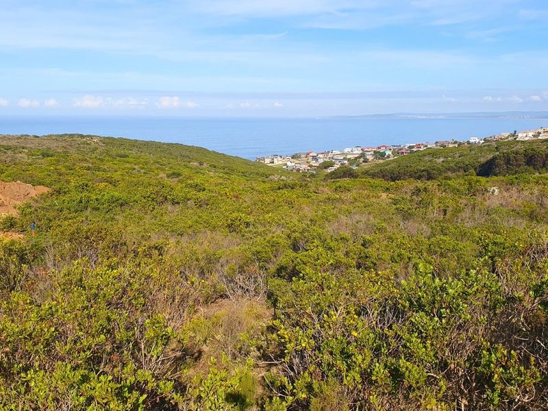 Where Coastal Living Meets Untouched Natural Beauty - Photo 1