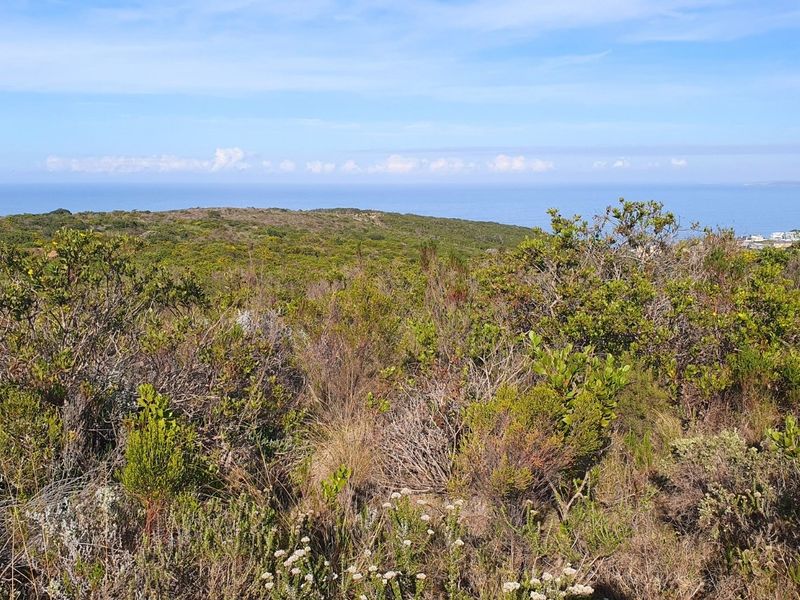 Where Coastal Living Meets Untouched Natural Beauty - Photo 2