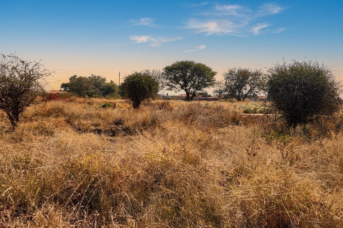 A view of a vacant residential plot featuring natural dry grass and mature indigenous trees under a clear blue sky.