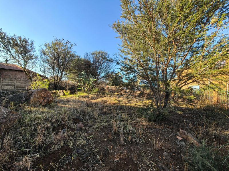 1000 Square meter Stand with Stunning Vaal Dam Views - Photo 5