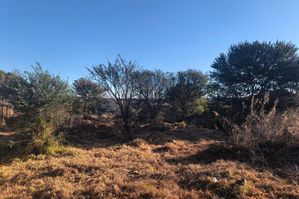 A view of a vacant residential plot featuring mature trees and natural dry grass vegetation.