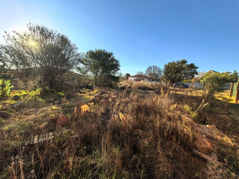 1000 Square meter Stand with Stunning Vaal Dam Views - Photo 3