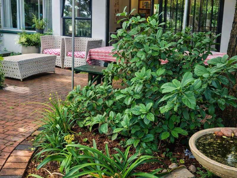 MUCH LOVED OLDER FAMILY HOME. - Photo 4