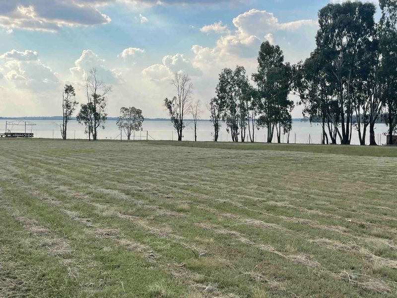 Exceptional Smallholding for Sale in Heilbron, Free State – Ready for Immediate Agricultural Production - Photo 3