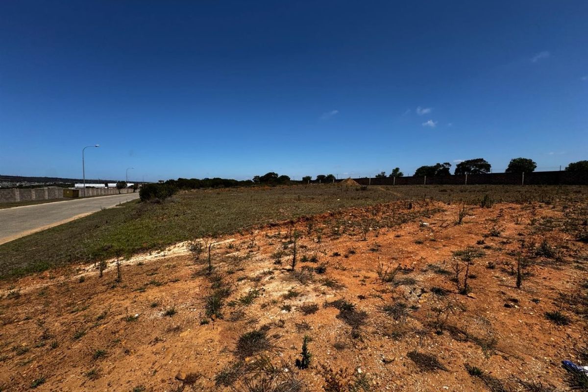 A vacant residential plot featuring level ground, boundary walling, and direct access to a paved street.