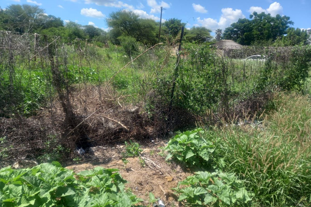 A view of a vacant residential plot featuring overgrown vegetation and damaged wire mesh perimeter fencing.