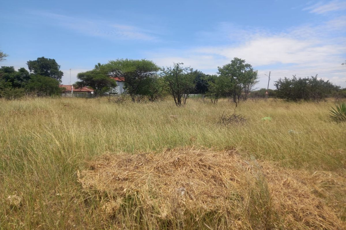 A view of a vacant residential plot featuring natural grassland and established indigenous trees.