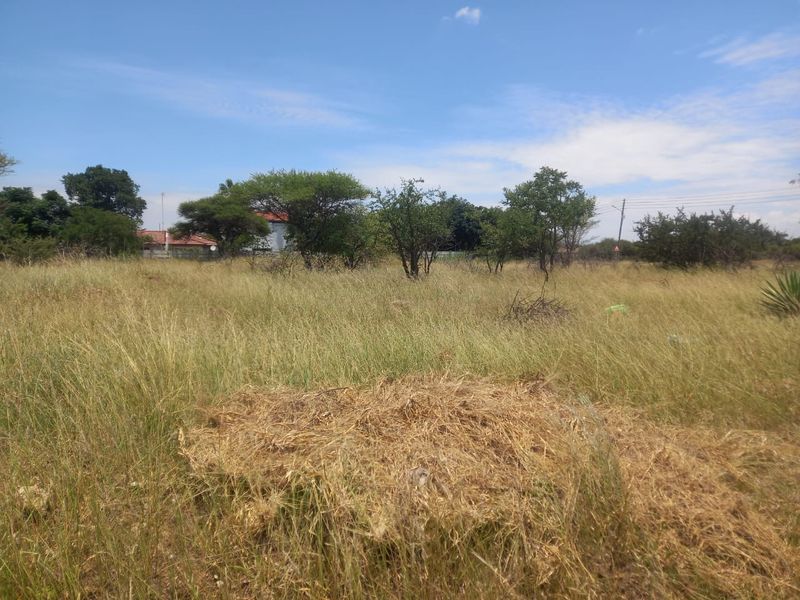 Prime Vacant Erf in Dendron for Your Dream Home - Photo 4