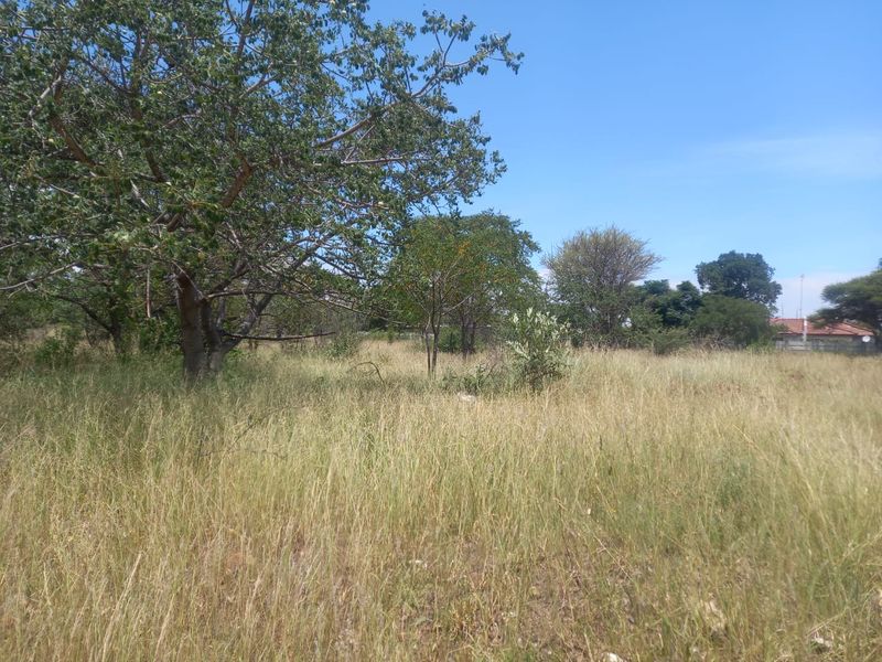 Prime Vacant Erf in Dendron for Your Dream Home - Photo 6
