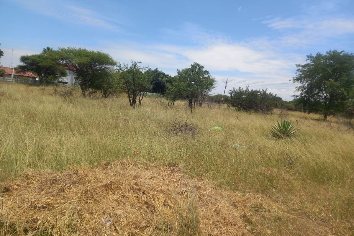 A view of a vacant residential plot featuring natural grassland and mature trees under a clear sky.