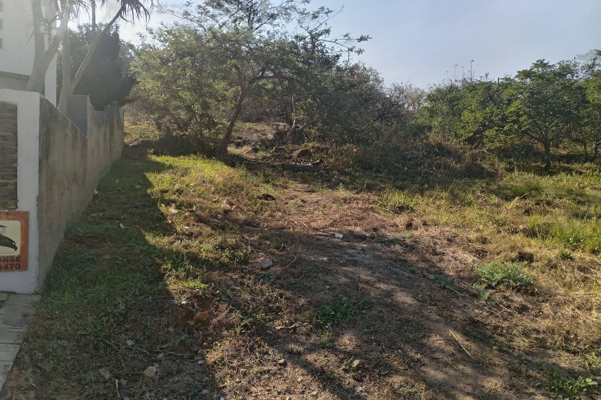 A view of a vacant residential plot featuring natural vegetation, mature trees, and an existing boundary wall along the side.