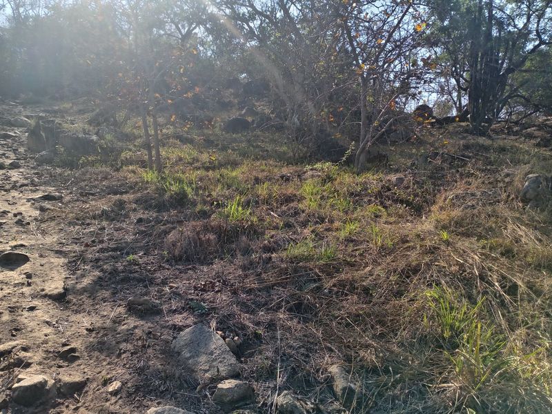 Vacant Land for Sale - Elawini Lifestyle Estate , Mbombela - Photo 8