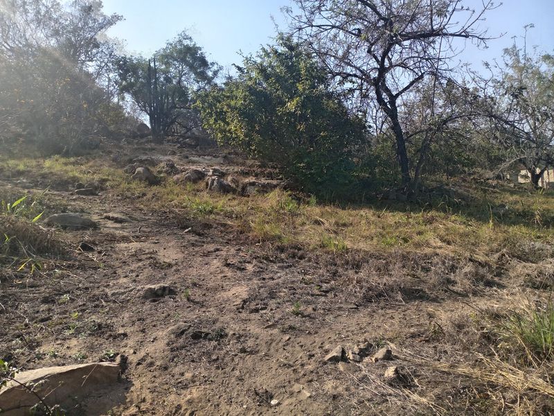 Vacant Land for Sale - Elawini Lifestyle Estate , Mbombela - Photo 7