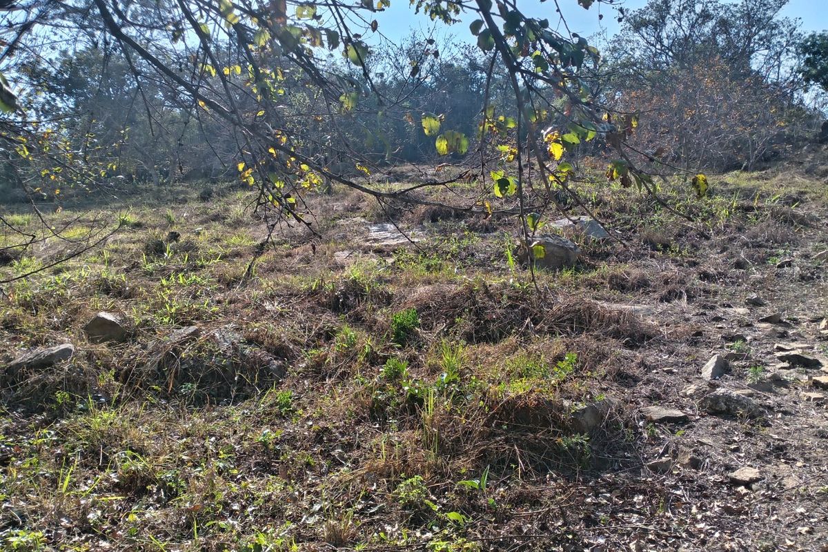 A view of the natural, undeveloped residential land featuring native vegetation and scattered rock outcrops.
