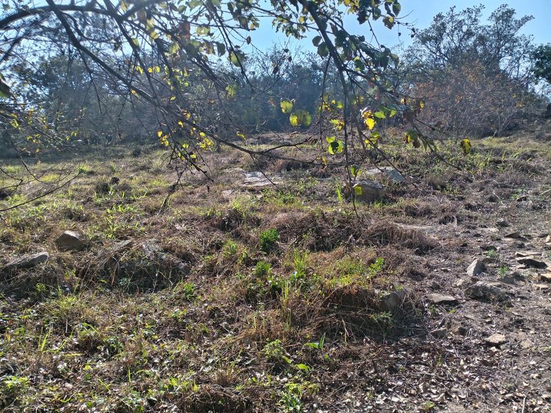 Vacant Land for Sale - Elawini Lifestyle Estate , Mbombela - Photo 3