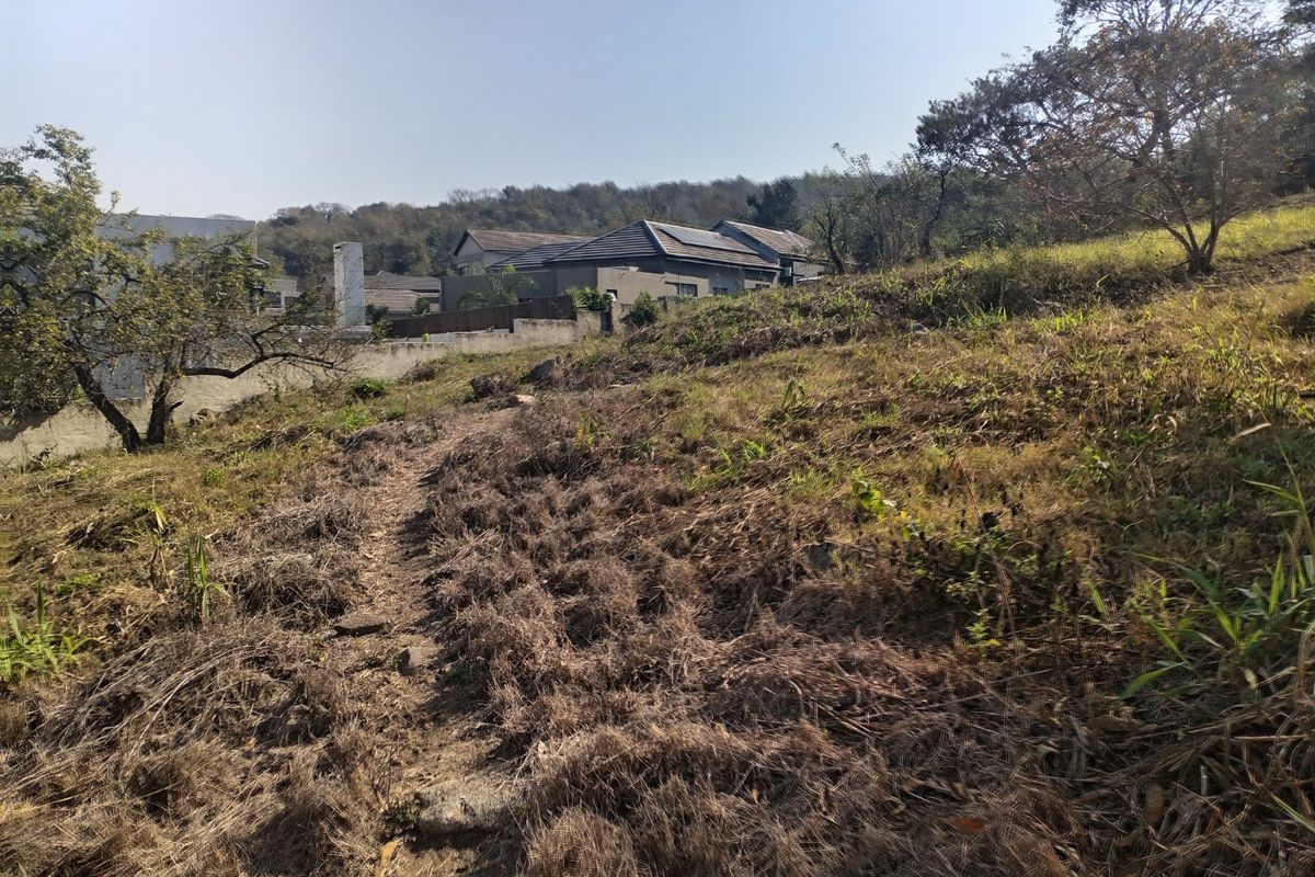 A view of the sloped, undeveloped residential land with natural vegetation and a boundary wall visible in the background.