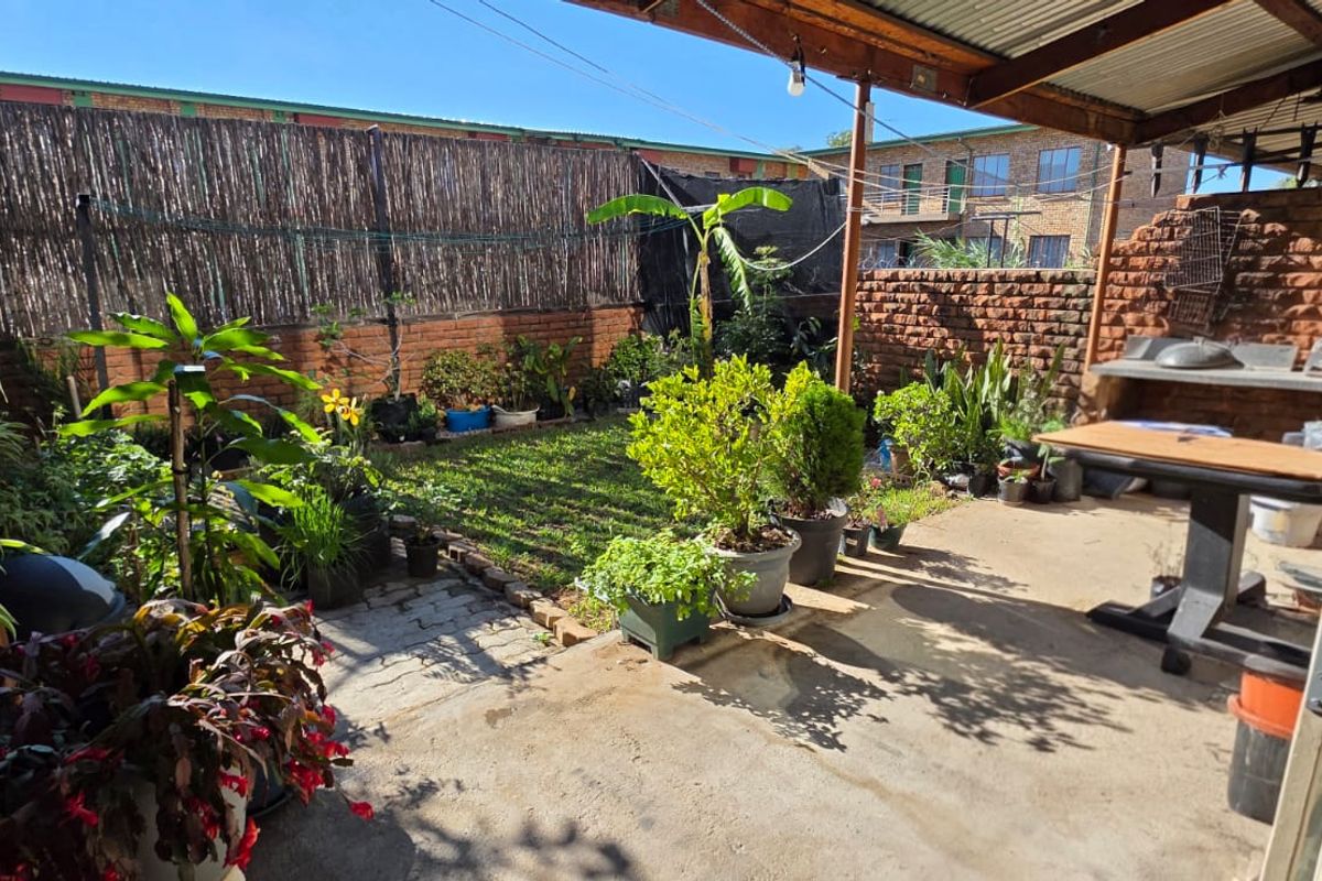 A private rear courtyard featuring a concrete patio, timber pergola, and a built-in brick braai area, enclosed by brick boundary walls.