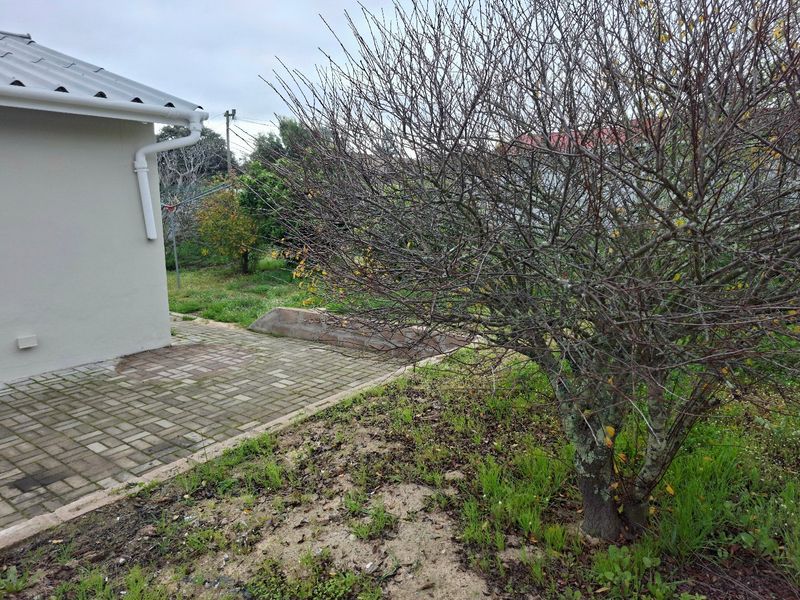 Neat & Secure 2 Bedroom Home on a Spacious 669m2 Erf in Hopefield - Photo 5