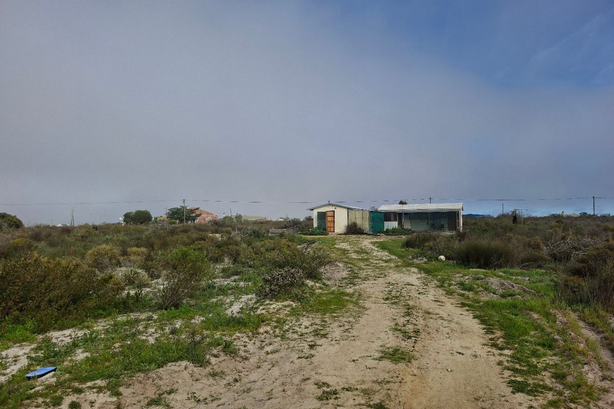 A view of a vacant residential plot featuring a dirt driveway leading to a small, weathered outbuilding surrounded by natural vegetation.