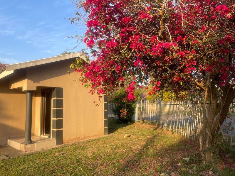Front exterior view of the house featuring a concrete porch, column entrance, and metal perimeter fencing surrounded by a mature bougainvillea tree.