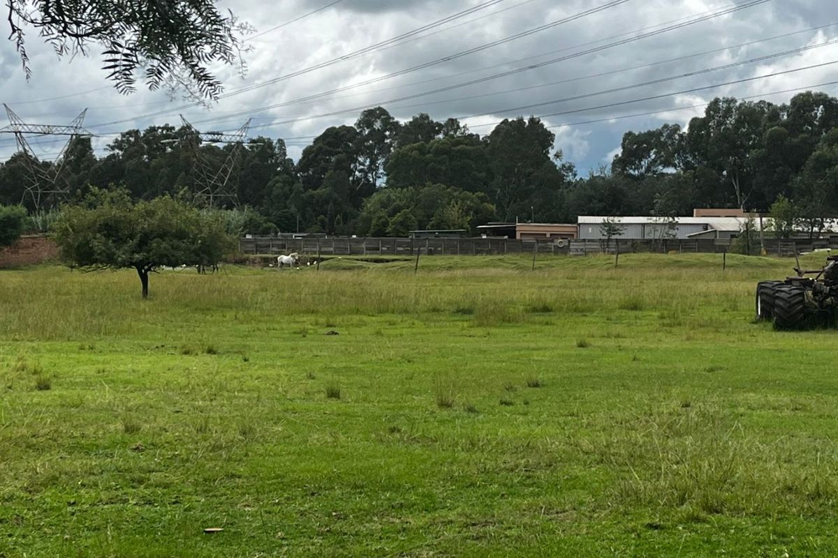 A wide view of an open grassy field with perimeter fencing and overhead power lines visible in the distance.