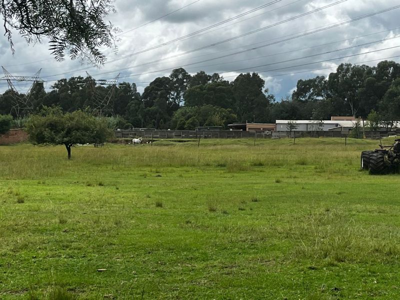 A wide view of an open grassy field with perimeter fencing and overhead power lines visible in the distance.
