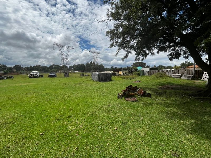 A large, open grass garden area featuring a mature tree and perimeter fencing, currently showing signs of neglect.