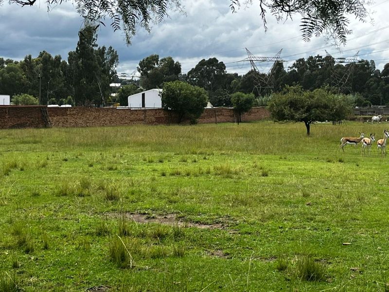 A spacious, open grass garden area featuring a brick boundary wall and mature trees, providing a natural and expansive outdoor setting.
