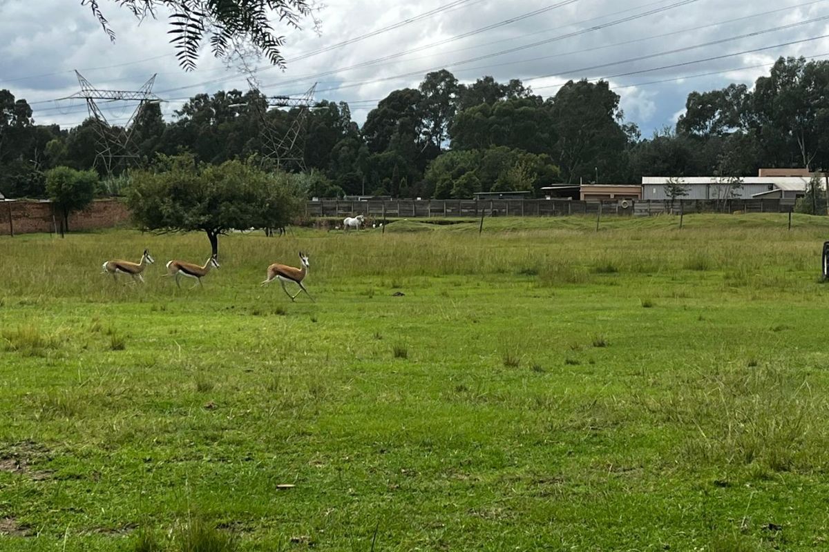 Expansive open grass field with perimeter fencing and mature trees, offering a natural rural setting.