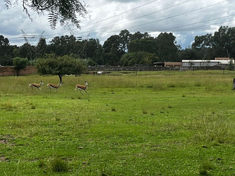 Expansive open grass field with perimeter fencing and mature trees, offering a natural rural setting.