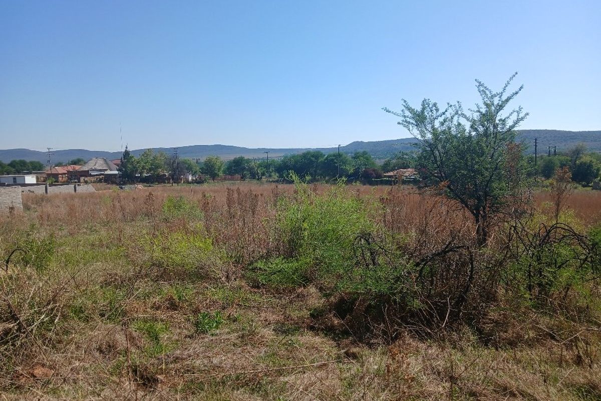 A view of a vacant residential plot featuring natural vegetation and a boundary wall, set against a scenic mountain backdrop.