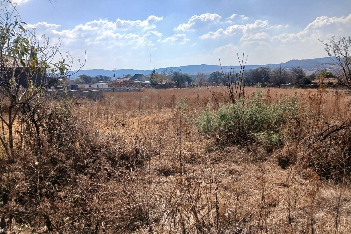 A view of a vacant residential plot featuring dry vegetation and a boundary wall in the background.