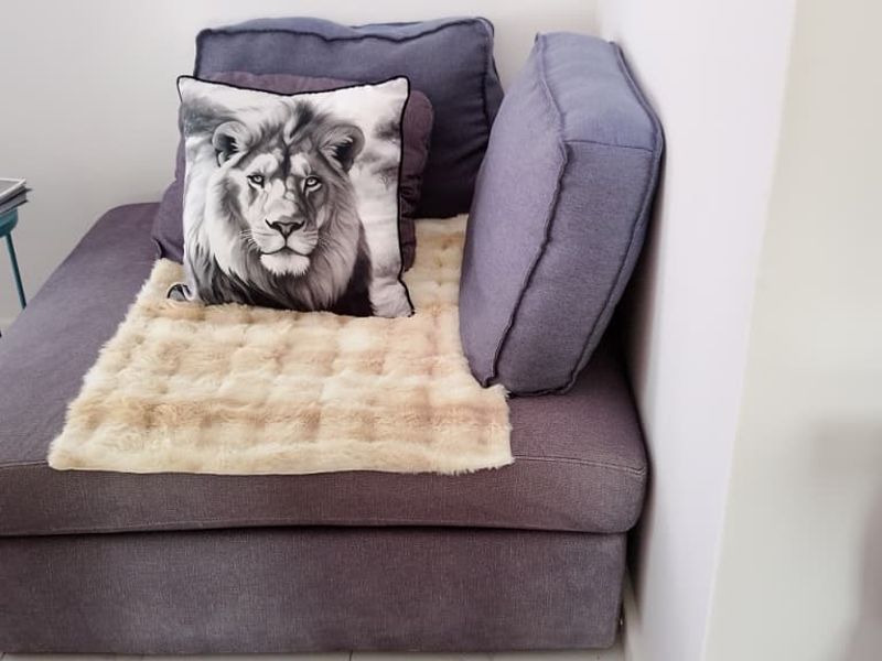 Spacious 3-Bedroom Home to Rent in Fountains Estate – Available 1 August 2026 - Photo 10