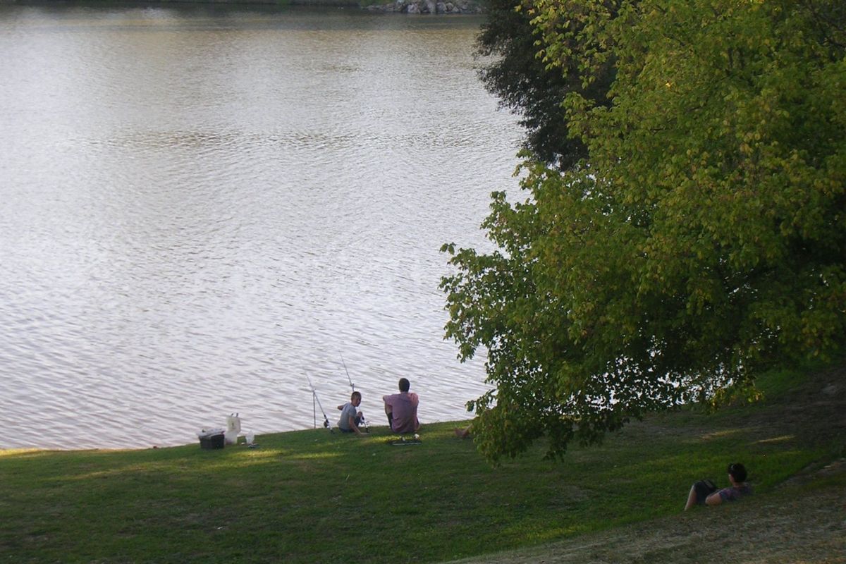 A scenic view of a tranquil waterfront area featuring grassy banks and mature trees, providing a peaceful natural setting.
