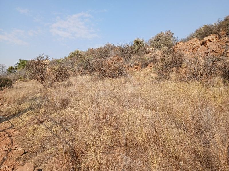 A view of the natural, undeveloped residential land featuring rocky terrain and indigenous vegetation.