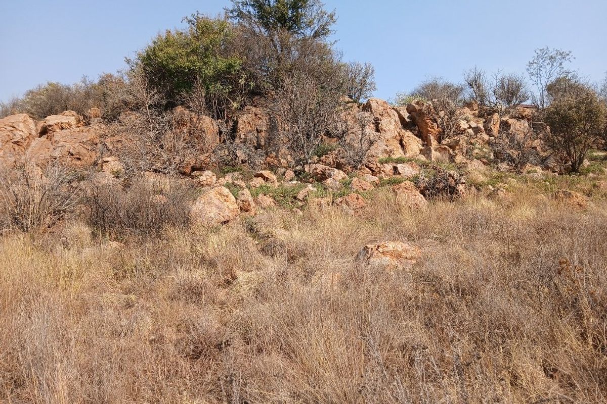 A view of a natural rocky outcrop and indigenous vegetation on a vacant residential plot.