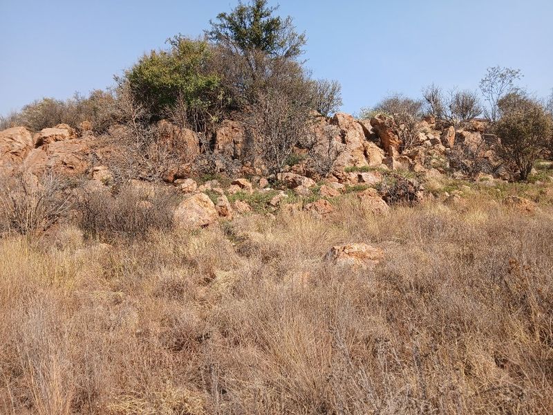 A view of a natural rocky outcrop and indigenous vegetation on a vacant residential plot.