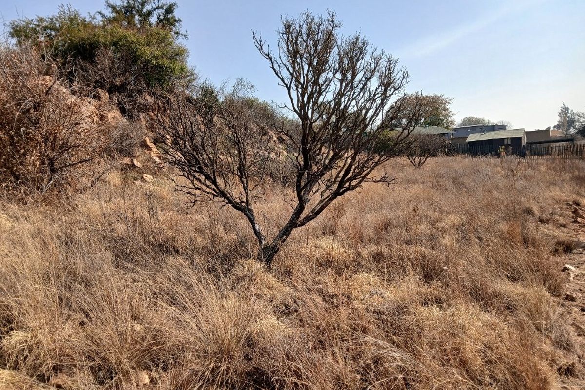 A view of a vacant residential plot featuring natural dry vegetation, a small tree, and a rocky slope.