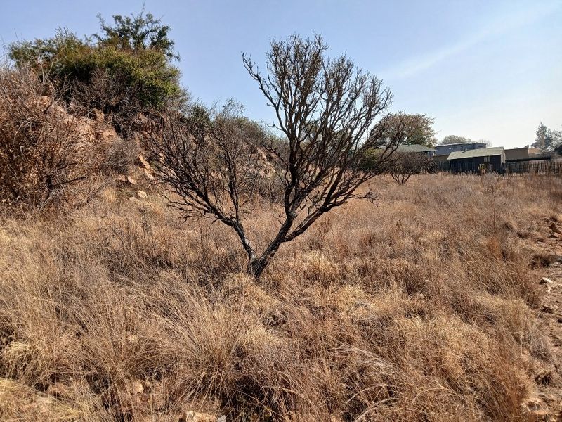 A view of a vacant residential plot featuring natural dry vegetation, a small tree, and a rocky slope.