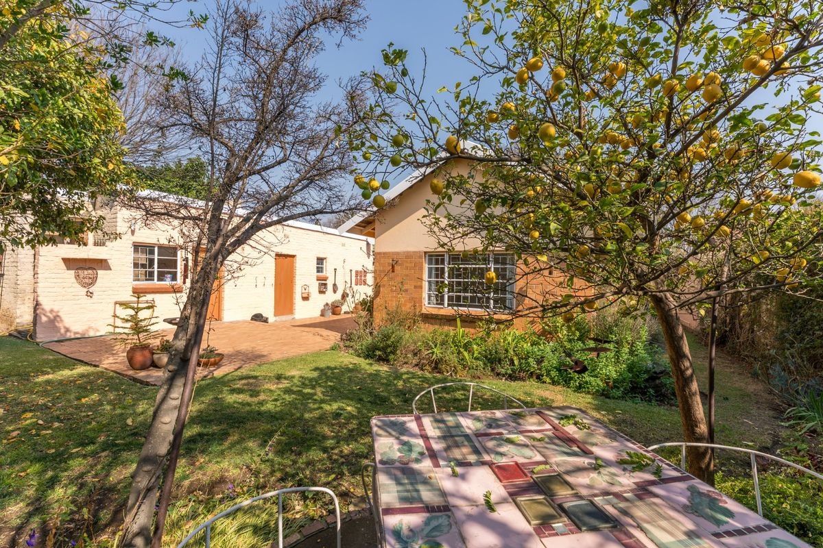 A view of the rear garden featuring brick paving, mature fruit trees, and the rear facade of the house with steel-framed windows.