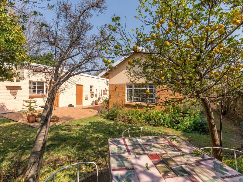 A view of the rear garden featuring brick paving, mature fruit trees, and the rear facade of the house with steel-framed windows.