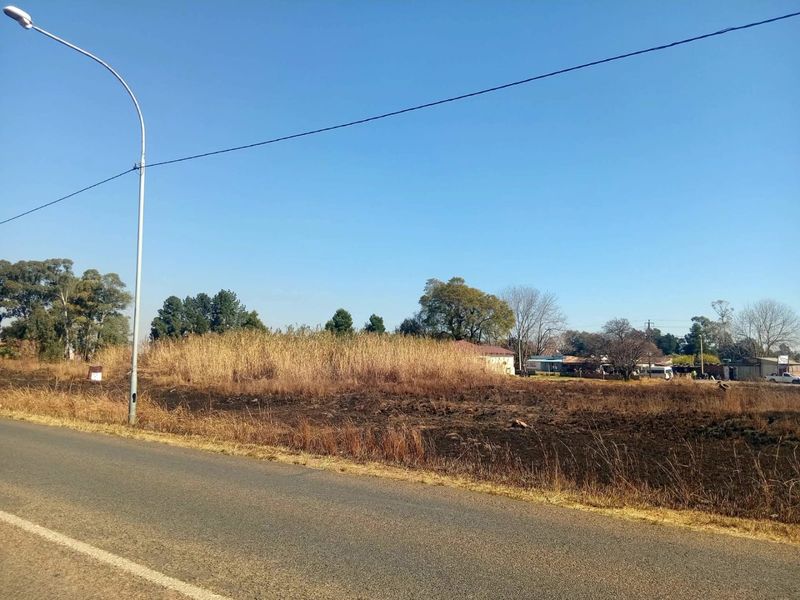 A view of an undeveloped plot of land adjacent to an asphalt road, featuring dry vegetation and a street light.