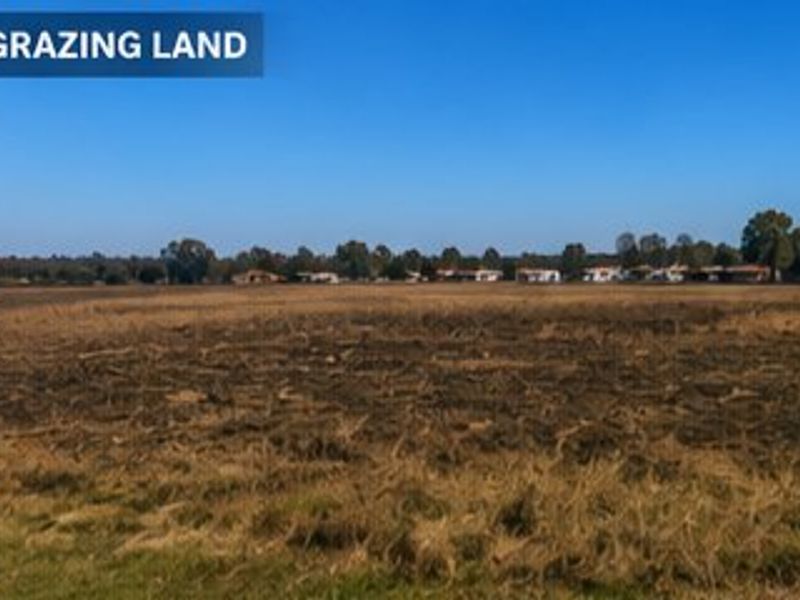 Expansive open grazing land featuring natural terrain and distant rural views.