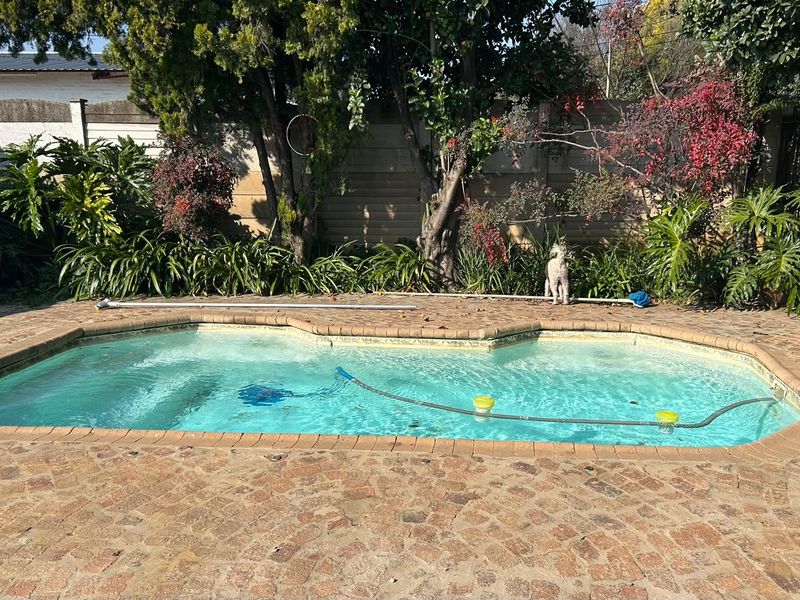 A private swimming pool area featuring brick paving, established garden landscaping, and a perimeter boundary wall.