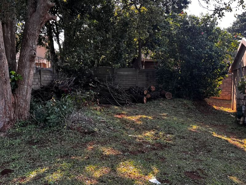 A rear garden area featuring mature trees, a precast concrete boundary wall, and a section of the brick house exterior.