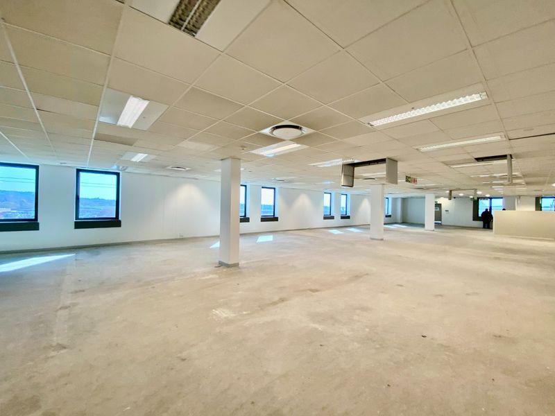 A large, open-plan commercial office space featuring a suspended ceiling, structural columns, and expansive windows, currently in a vacant, shell-like condition.