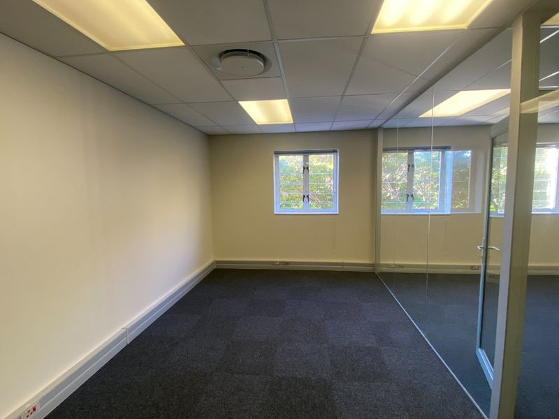 A clean, vacant commercial office space featuring carpet tiles, a suspended ceiling with recessed lighting, and a modern glass partition wall.