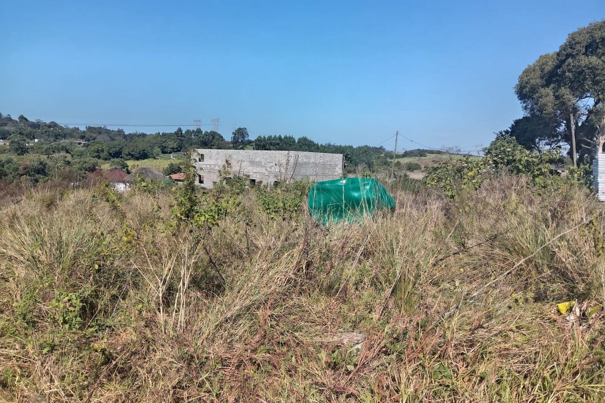 A view of a vacant residential plot featuring overgrown grass and natural vegetation, with neighboring structures visible in the background.