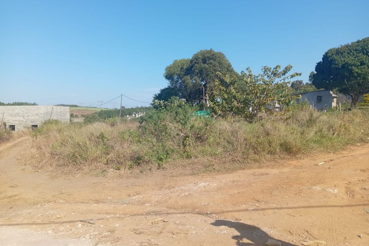 A view of a vacant residential plot featuring natural vegetation, mature trees, and direct access from an unpaved road.
